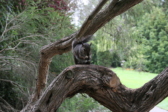 Ấn tượng 3 thắng cảnh tuyệt đẹp ở San Francisco, Mỹ